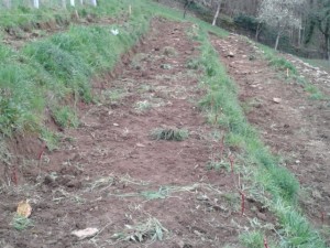 terraza para viñedo