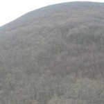 IMG_2021