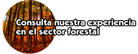 consultaforestal