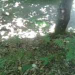 20160715_142455